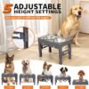 71uu-_GVFgL._AC_SL1500 Elevated Dog Bowls – The Perfect Feeding Solution for Dogs