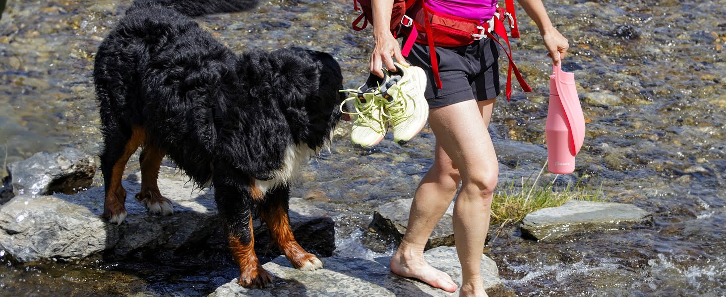 dog water bottle