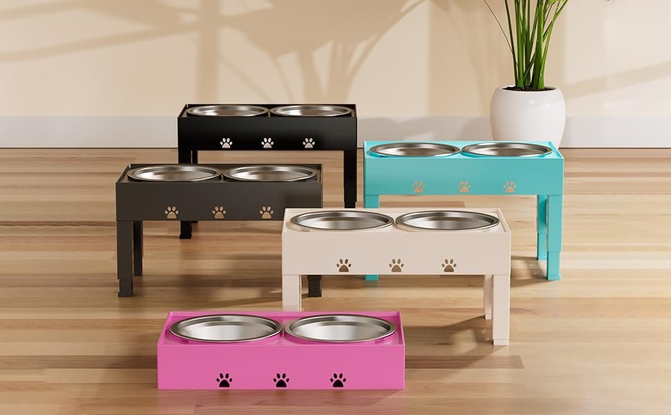 dog bowl