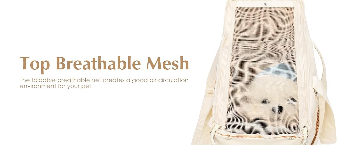 dog car carriers for small dogs