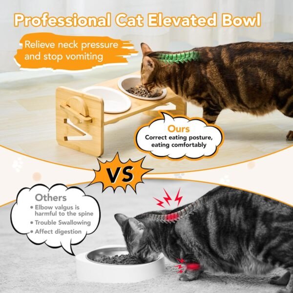 81-8g48PcsL._AC_SL1500 Elevated Pet Bowls for Cats & Small Dogs, Natural Bamboo with Ceramic Raised Small Dog Bowls, Cat Food Dish Bowls Elevated and 15° Tilted, Whisker Friendly, Dishwasher Safe