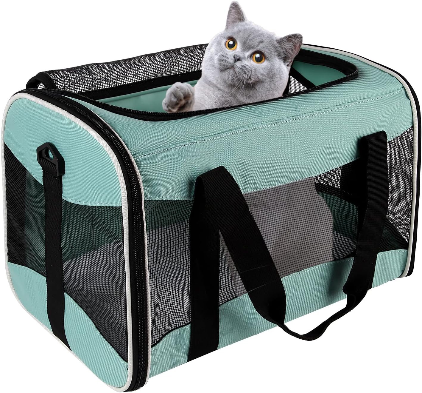 Cat Carrying Case Pet Dog Carrier Soft-Sided Cat Bag Airline Approved, Pet Travel Carrier Up to 15 Lbs, Collapsible Cat Carrier Dog Carrier for Medium Cats Small Cats Dogs(17x11x11 green)