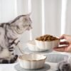 Cat Bowls – 3 Pieces Cat Food Bowl Cat Dishes with Silicone Non-Slip Mats, 5 Inches Cat Bowls for Indoor Cats, Ceramic Cat Food and Water Bowl Set Gift for Pet Lovers – White