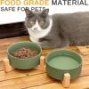 Ceramic Pet Bowls for Dog and Cat, No Spill Dog Food and Water Bowl Set with Anti-Slip Wooden Stand, Riased Puppy Feeding Dishes Suitable for Small, Medium and Large Cats Dogs, Green 28 OZ