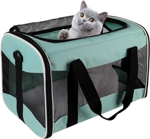 Cat Carrying Case Pet Dog Carrier Soft-Sided Cat Bag Airline Approved, Pet Travel Carrier Up to 15 Lbs, Collapsible Cat Carrier Dog Carrier for Medium Cats Small Cats Dogs(17x11x11 green)