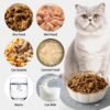 Cat Bowls – 3 Pieces Cat Food Bowl Cat Dishes with Silicone Non-Slip Mats, 5 Inches Cat Bowls for Indoor Cats, Ceramic Cat Food and Water Bowl Set Gift for Pet Lovers – White