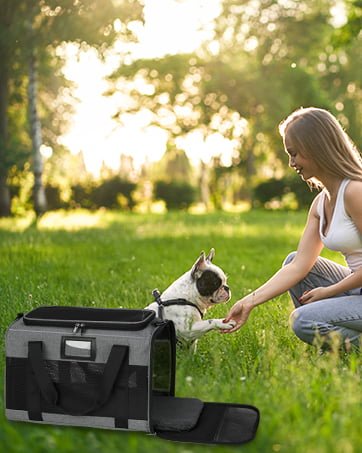 dog carrier