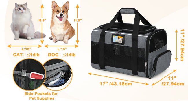 dog carrier