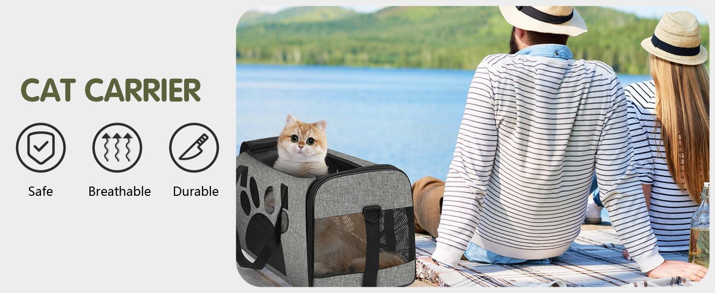 Soft-Sided Pet Carrier for Travel