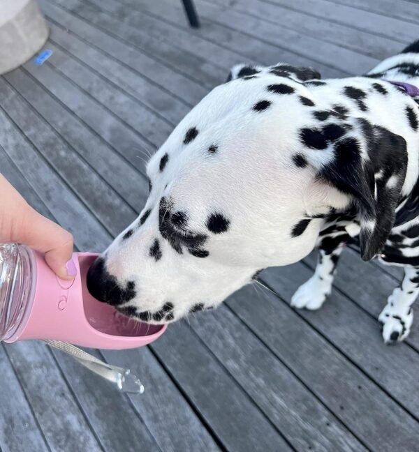 Pet Water Bottle, 19 Oz Leak Proof, Reusable Water Flow Back, Drinking Cup for Travel, Hiking, Walking, Jogging, Service Dog Vest, BPA Grade Plastic, Dogs, Cats, Rabbits (19oz Pink)