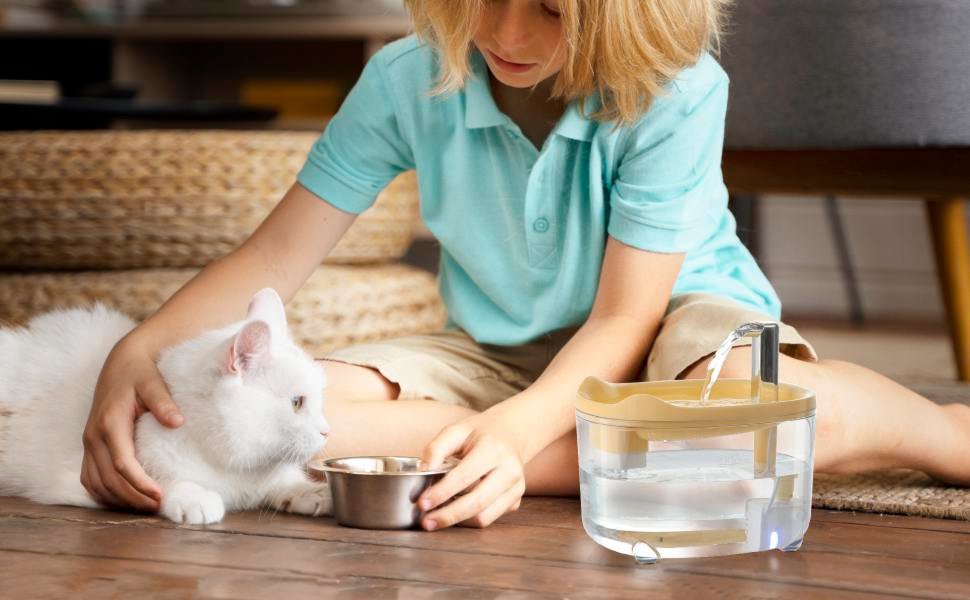 cat water fountain