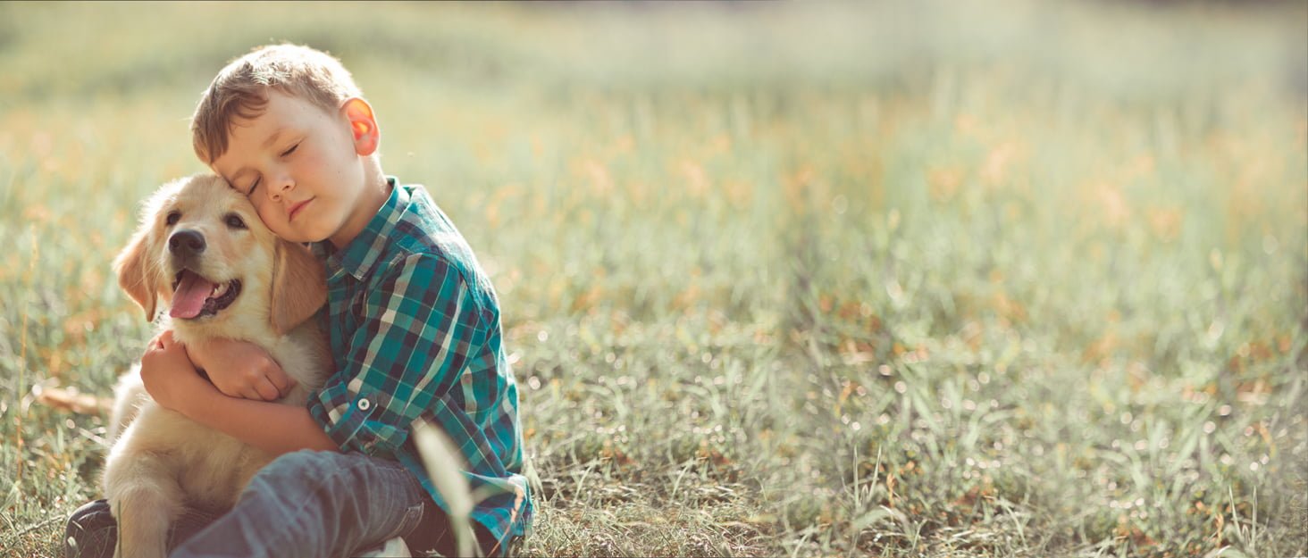 100% Waterproof BPA Free Cat and Dog Bowls Silicone Feeding Mat Set, Stainless Steel Bowl Slip Resistant Raised Edges, Catch Water, Food Mess, No Spills, Pet Accessories, 1 Cup, Black