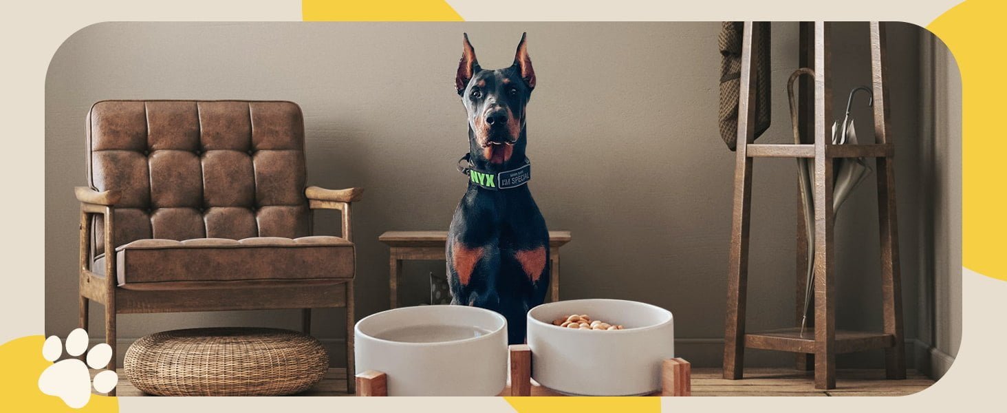 Dog bowls