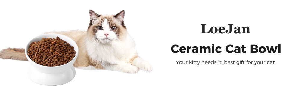 LoeJan Ceramic Cat Bowl