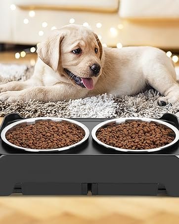 dog food bowls