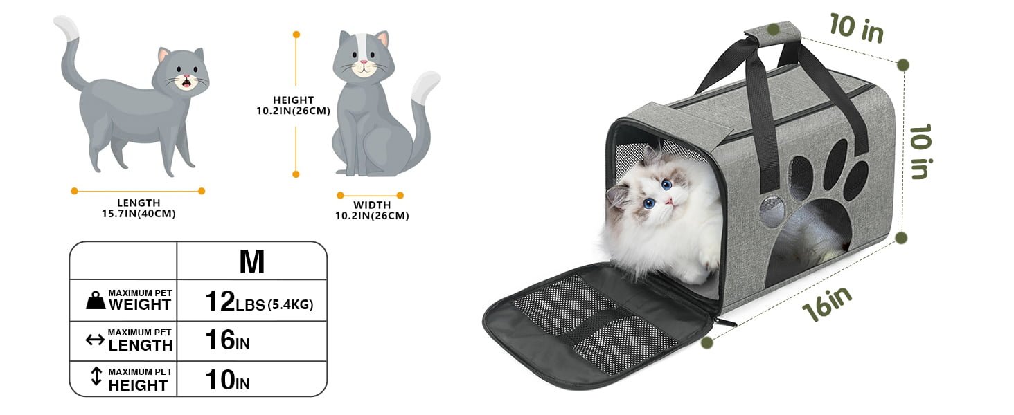 cat carriers for large cats
