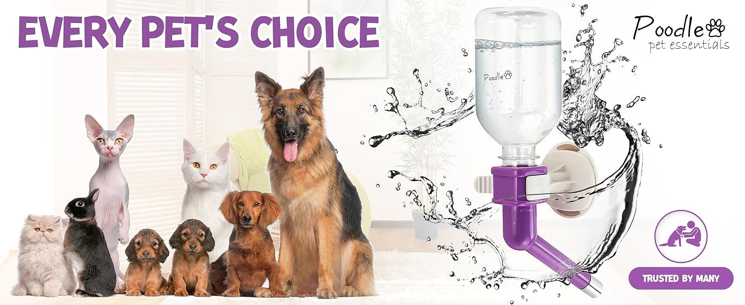 water dispenser dogs dog water feeder