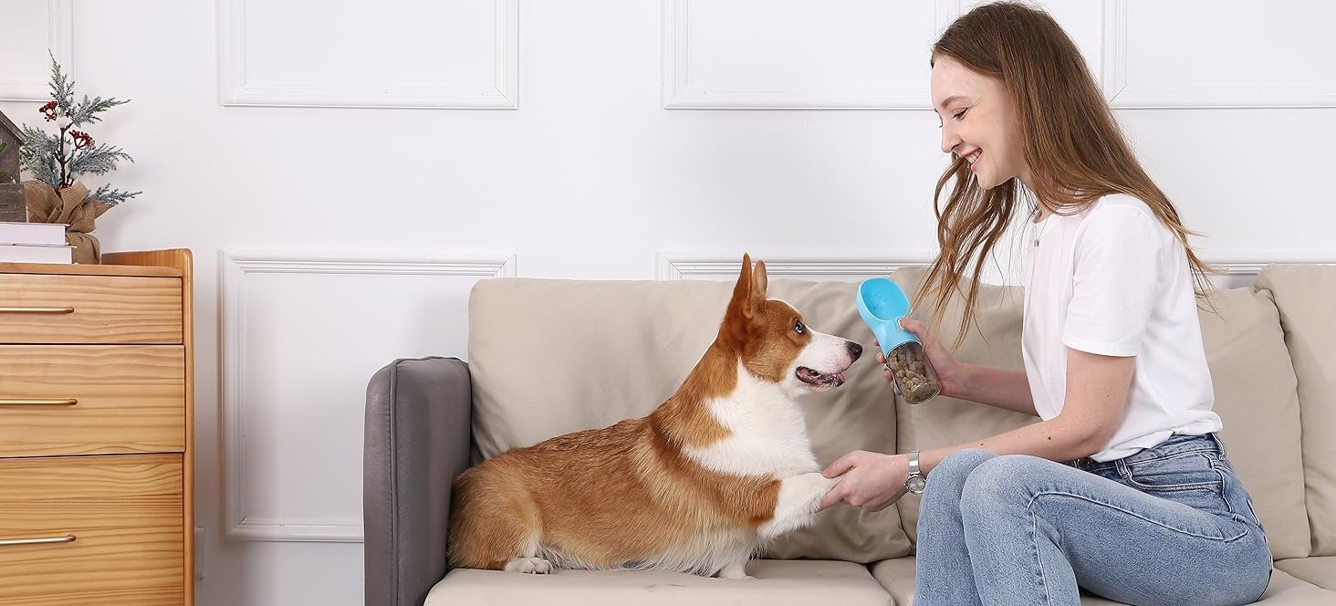 Colorday Dog Training Feeder