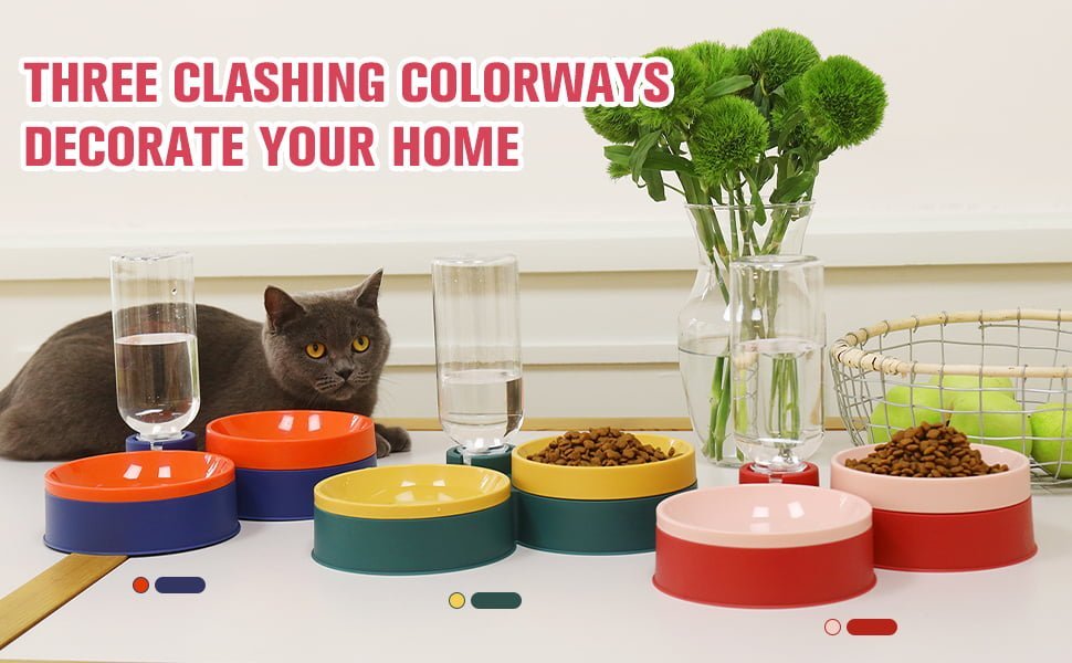 cat food and water bowl set