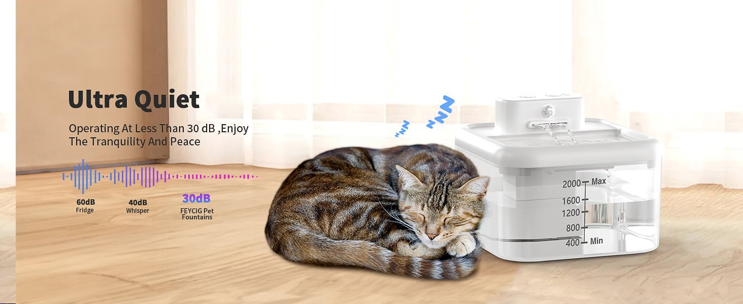 cat drinking fountains