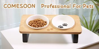 elevated cat bowls