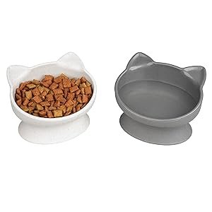 Cat Bowls