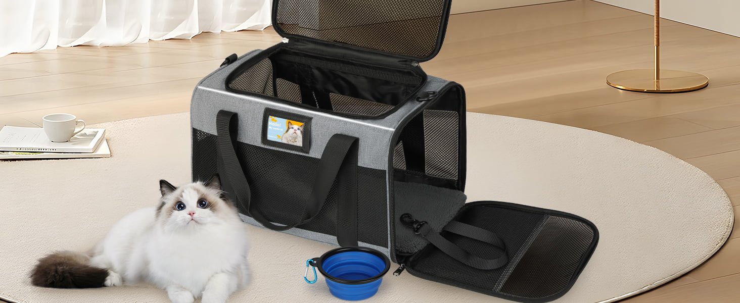 pet carrier for cat
