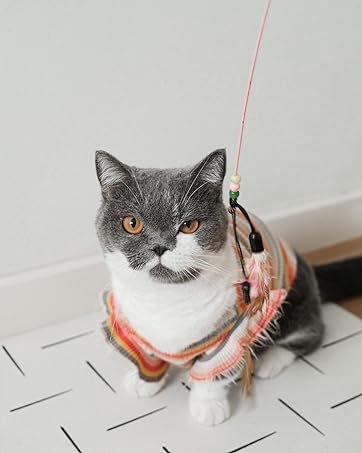 Pawkizz Waterproof Pet Food Mat