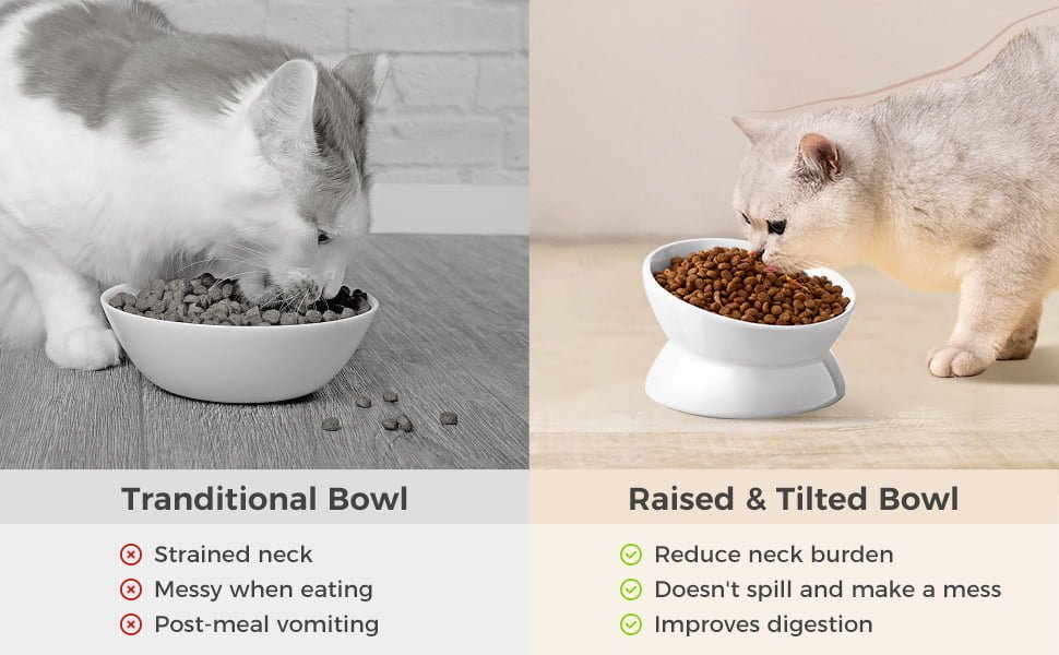 Raised & TIlted Bowl