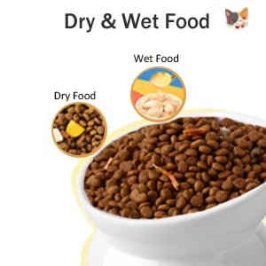 Dry and Wet Food