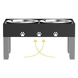 tall dog food bowl stand