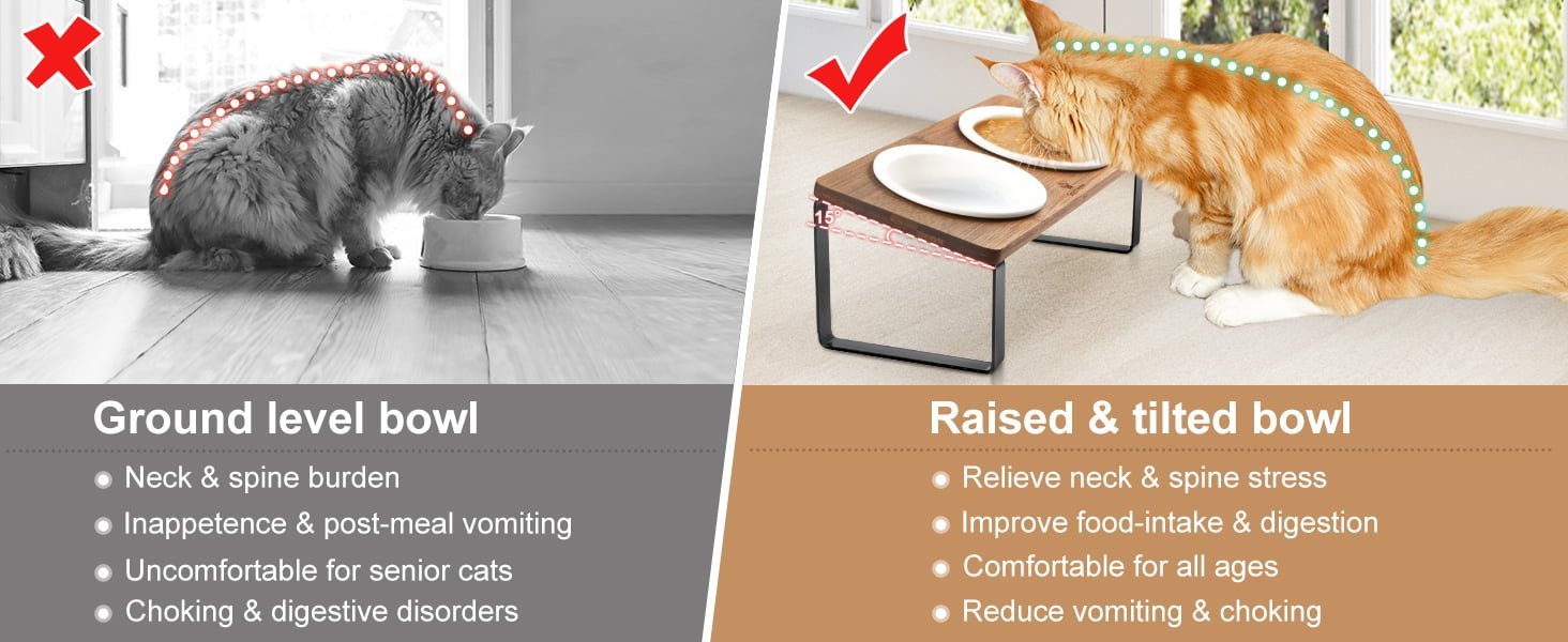 What Are the Benefits of Raised Cat Food Bowls?