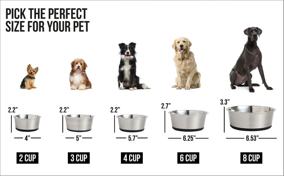 Pick the perfect size for your pet