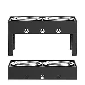 small dog bowls