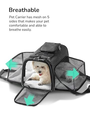 PetsN'all Pet Carrier, Cat Carrier, 2-Sided Airline Approved