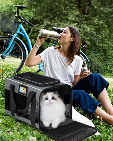 pet carrier