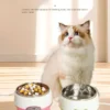 Cat Yogurt Maker: Dry Food and Drinking Water Can Be Heated